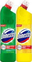 DOMESTOS Extended Power Płyn do WC MIX Fresh 2x750ml