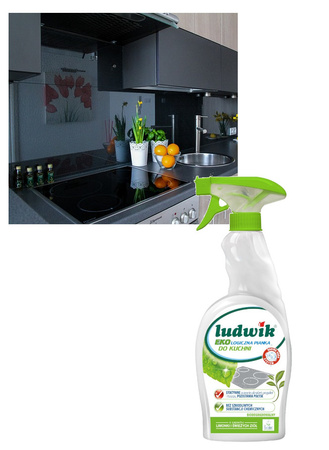 Ludwik Ekologiczny Płyn Pianka do Czyszczenia Mycia Kuchni Spray 750ML