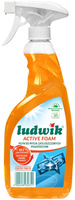 LUDWIK Active Foam Płyn do Mycia Zatłuszczonych Powierzchni Exotic Fruits BIO 600ml