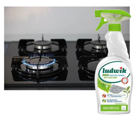 Ludwik Ekologiczny Płyn Pianka do Czyszczenia Mycia Kuchni Spray 750ML
