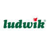 Ludwik Anty Para Płyn do Mycia Szyb Luster Blatu Bez Smug i Zacieków 600 ml