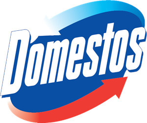 DOMESTOS Zawieszka Kostka 3 w 1 do WC na Kamień Wymienny Wkład Cytrynowa x6