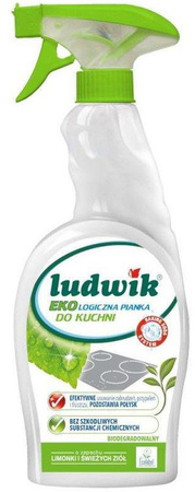 Ludwik Płyn do Mycia Kabin Prysznicowych i Łazienki 750ml