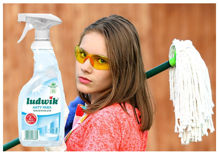 Ludwik Anty Para Płyn do Mycia Szyb Luster Blatu Bez Smug i Zacieków 600 ml