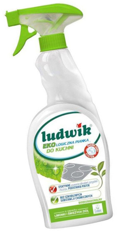 Ludwik Płyn do Mycia Kabin Prysznicowych i Łazienki 750ml