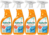 LUDWIK Active Foam Płyn do Mycia Zatłuszczonych Powierzchni Exotic Fruits BIO 600ml x4