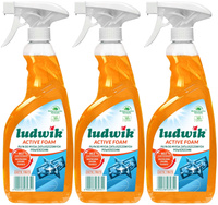 LUDWIK Active Foam Płyn do Mycia Zatłuszczonych Powierzchni Exotic Fruits BIO 600ml x3
